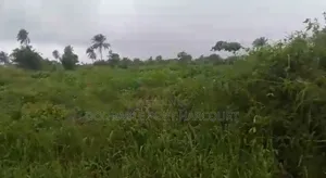 2 Plots Dry Land for Sale in Etche