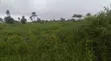 2 Plot na Kasa Busasshiya don Siyarwa a Etche - 1