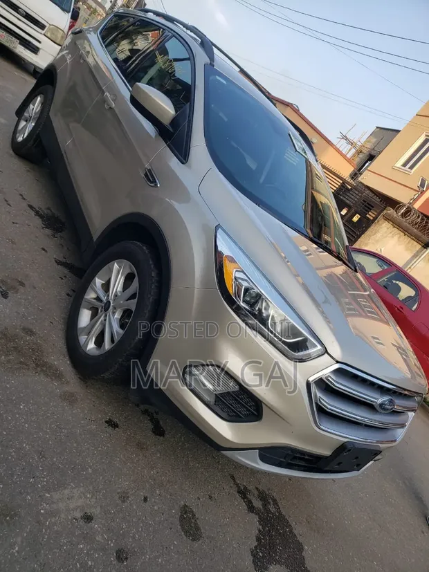 2017 Ford Escape SE 4x4 SUV Gold - 1