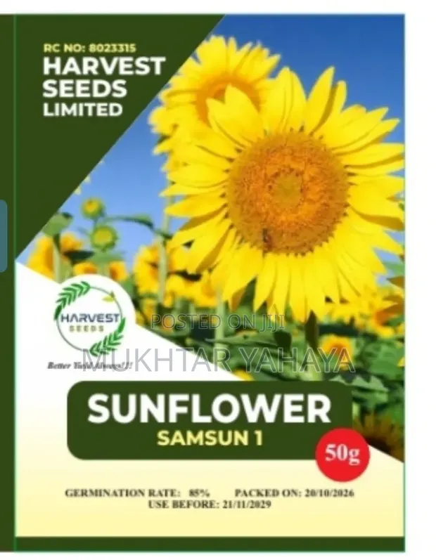 Tsaba na Sunflower Sumsun 1 - 1