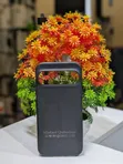 Google Pixel 9 Pro XL Case - Brand New & Used - 2