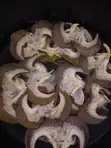 Cleaned Snails - Various Sizes Available - 4