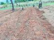 Farm Setup & Irrigation Services - 3