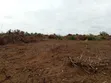 21 Plots of Land for Sale at Imaka Tollgate, Epe/Ijebu Ode Road - 3