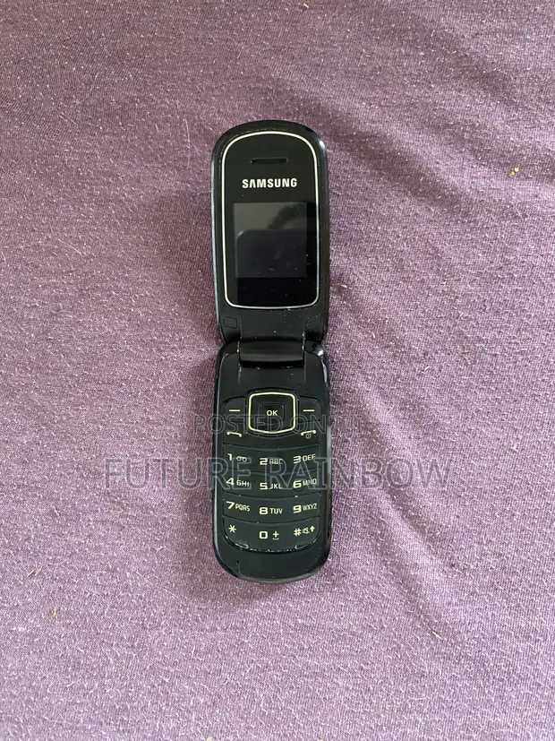 Samsung Galaxy S24 Ultra 256GB Silver - 1