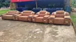 Sabon 7-Seater Luxury Sofa Set - 2