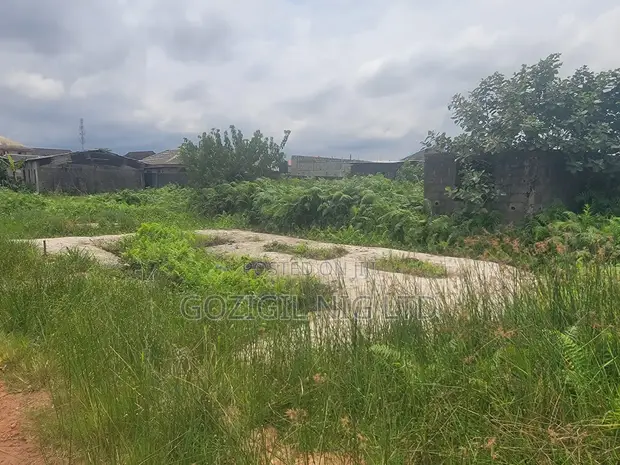 Land for Sale in Ijeododo Ijegun, Lagos (Under Half Plot) - 1