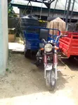 Qlink Axon 50 2012 Tricycle Blue - 2