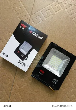 Ecko 30W Flood Light (Electric)
