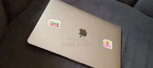 Apple MacBook 2017 8GB RAM, 250GB SSD