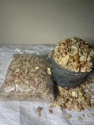Fresh Drawing Ogbono Seeds