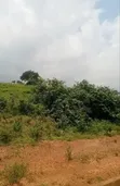 17 Hecta na Filin Kasuwanci na Gaskiya don Siyarwa, Share - 1