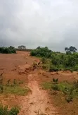 17 Hecta na Filin Kasuwanci na Gaskiya don Siyarwa, Share - 3