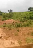17 Hecta na Filin Kasuwanci na Gaskiya don Siyarwa, Share - 5