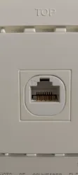 Schneider Data Socket - 2
