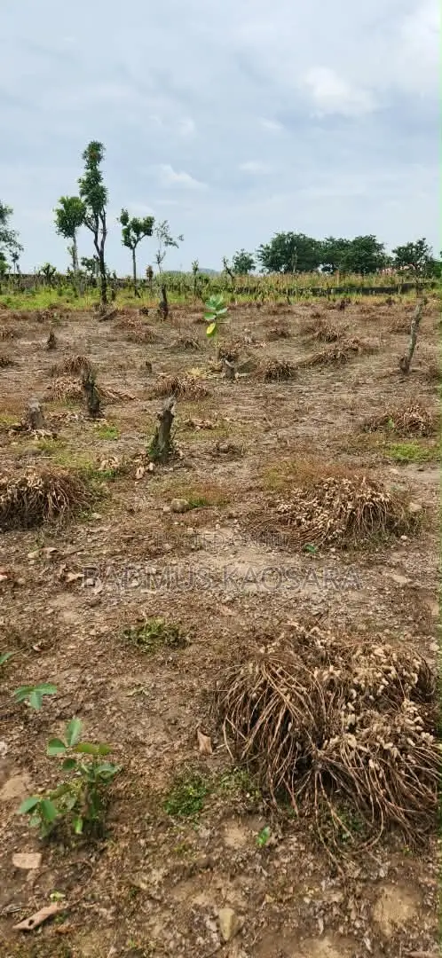 Spacious 200SQM Residential Land for Sale in Kuje - 1