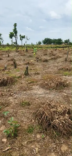 Spacious 200SQM Residential Land for Sale in Kuje