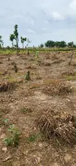 Spacious 200SQM Residential Land for Sale in Kuje - 1