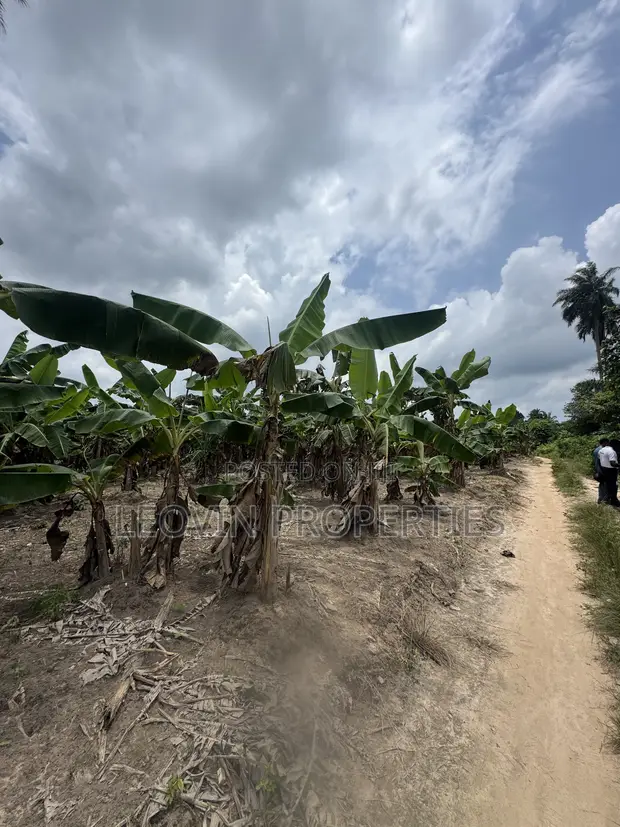 600sqm Farm Land Investment in Ijebu-Ode - 1