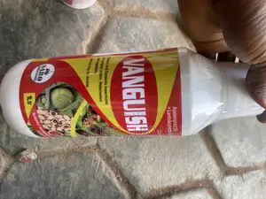 Vanguish Systemic & Contact Insecticide - 1 Litre