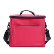 Babban Lunch Bag Mai Zafi - 2