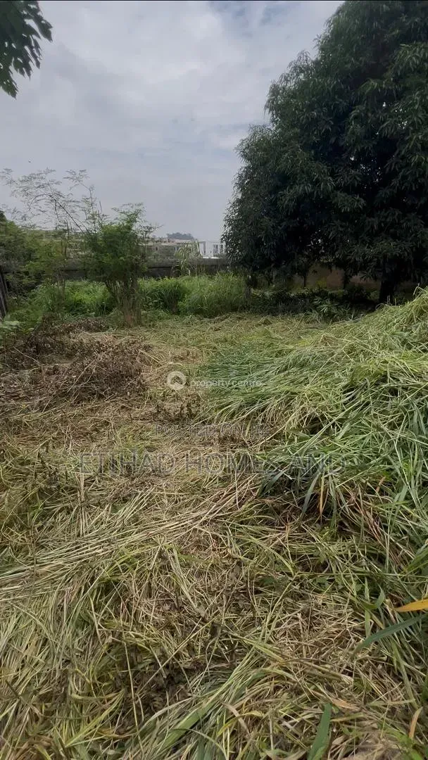 100 Acres Fertile Farmland for Sale in Obafemi-Owode - 1