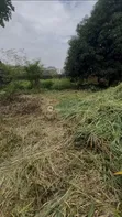 100 Acres Fertile Farmland for Sale in Obafemi-Owode - 1