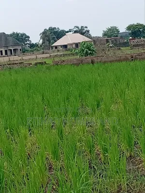 100 Acres Fertile Farmland for Sale in Obafemi-Owode