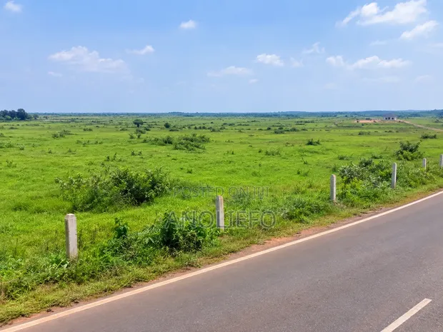 12+ Acres Prime Investment Land, Ngor-Okpala - 1