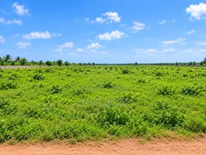 12+ Acres Prime Investment Land, Ngor-Okpala