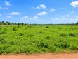 12+ Acres Prime Investment Land, Ngor-Okpala - 2