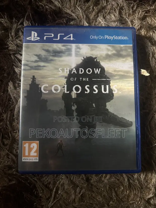 Shadow of the Colossus - PS4 - 1