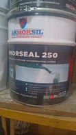 Asmacoat Waterproofing Coating Compound 25kg - 2
