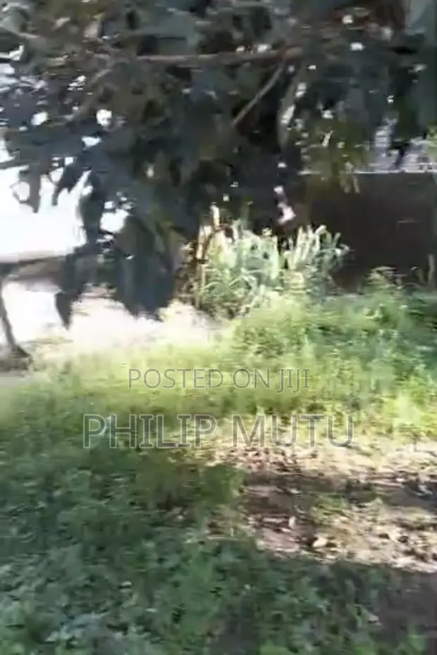 Half Plot of Land for Sale, Obio-Akpor - 1
