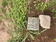 Land with CofO in Uhunmwonde - 4