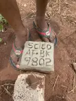Land with CofO in Uhunmwonde - 5
