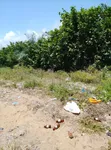 2 Plots of Dry Land for Sale at Folu, Ibeju-Lekki - 2