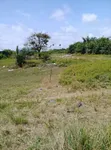 2 Plots of Dry Land for Sale at Folu, Ibeju-Lekki - 4