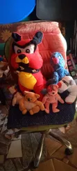 Teddy Bears - An Suyi Amfani, Nau'o'i masu Kyau - 3