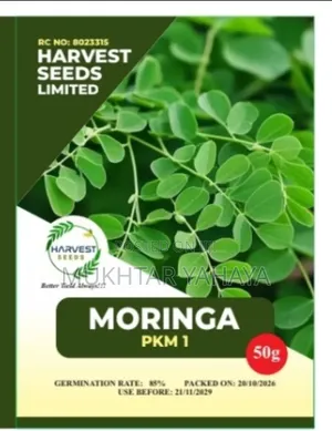 Moringa PKM 1 Seeds - High Biomass, Tropical Adaptation