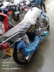 Qlink Tiger Babur - 2