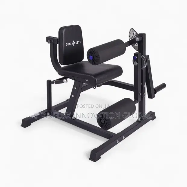 Commercial Leg Extension/Curl Machine - 1