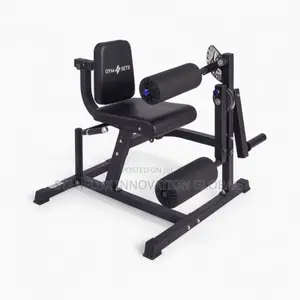 Commercial Leg Extension/Curl Machine
