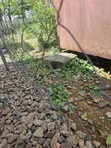 Urgent Sale: 1053.98sqm Residential Land in Maitama Main - 4