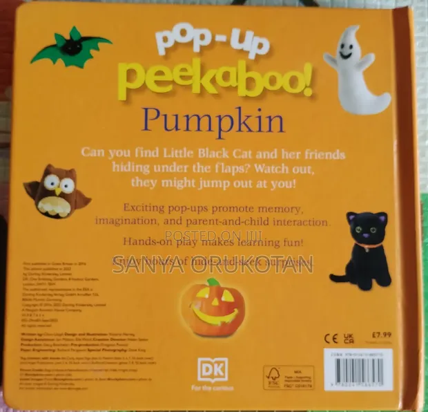 Pop Up Peekaboo Pumpkin Board Book - 1