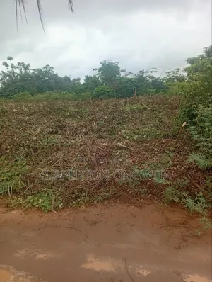 Commercial Land for Sale - 100x100ft, Obagie
