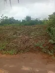Commercial Land for Sale - 100x100ft, Obagie - 1
