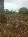 Commercial Land for Sale - 100x100ft, Obagie - 2