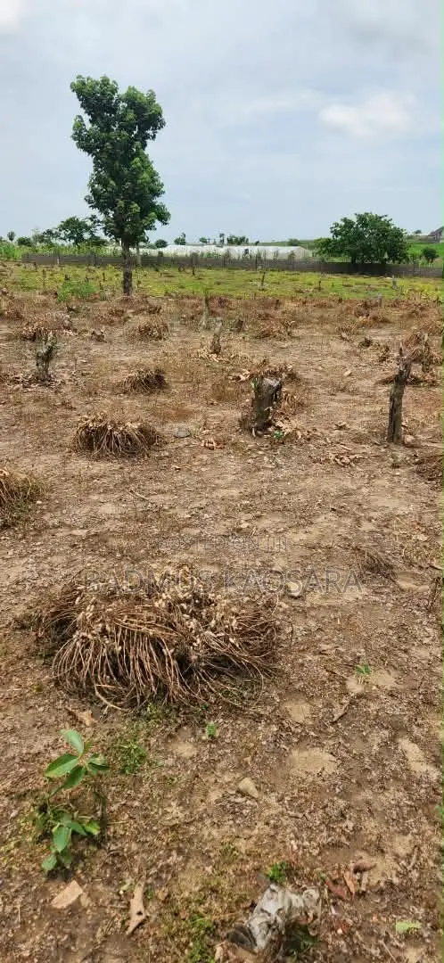 Prime Residential Land for Sale - 500SQM Kuje - 1