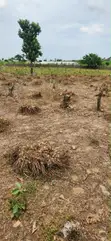 Prime Residential Land for Sale - 500SQM Kuje - 1